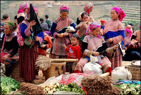 Hành Trình Du Lịch Sapa, Khám Phá Vẻ Đẹp Của 5 Khu Chợ Độc Đáo