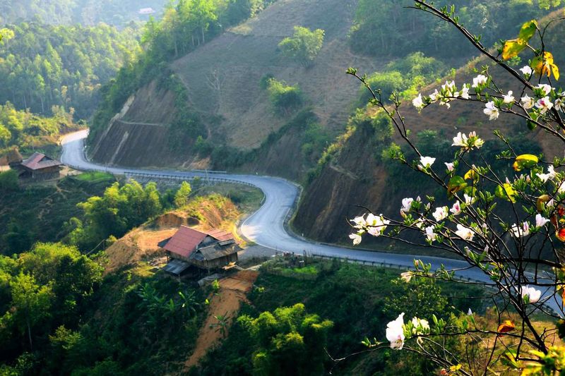 Mường Thanh bật mí cho bạn mùa nào đẹp nhất để du lịch Điện Biên