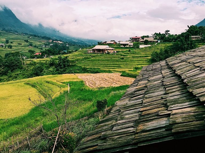 Bản Tả Van ở đâu? Nên đi xe máy hay ô tô? Chơi gì? Ăn uống gì?