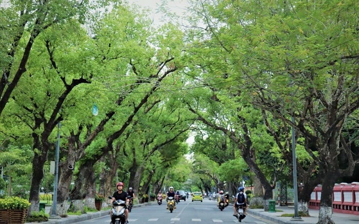 Tour Huế 1 ngày