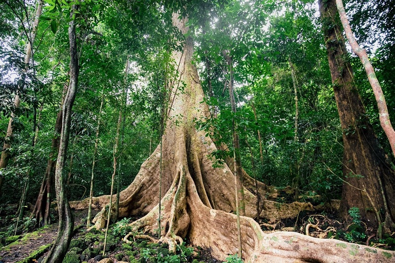 Top 10 địa điểm du lịch gần Sài Gòn lý tưởng để thư giãn cuối tuần 20