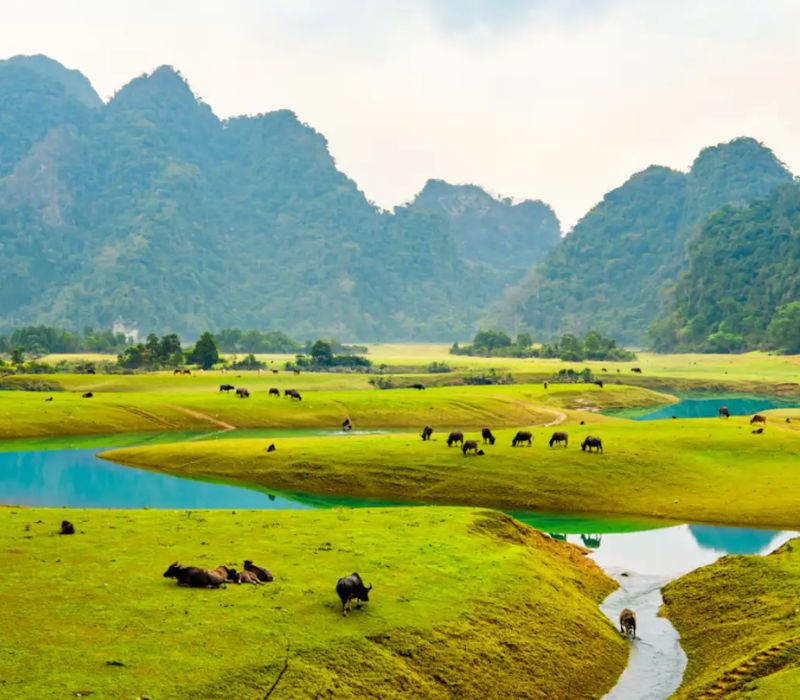 Du lịch Bắc Sơn, khám phá thung lũng vàng giữa Lạng Sơn 11