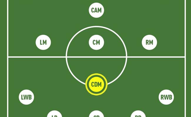 Đội hình 4-2-3-1: Vai trò và tầm quan trọng trong bóng đá