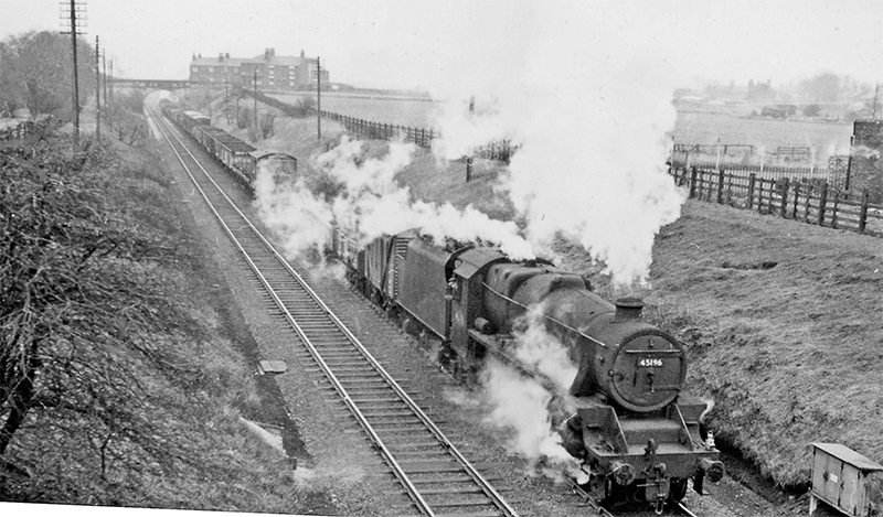 Harry Stafford và chú chó Major – biểu tượng sự cứu rỗi