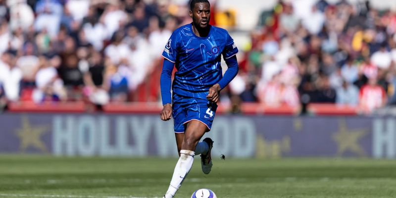 Sự nghiệp Tosin Adarabioyo