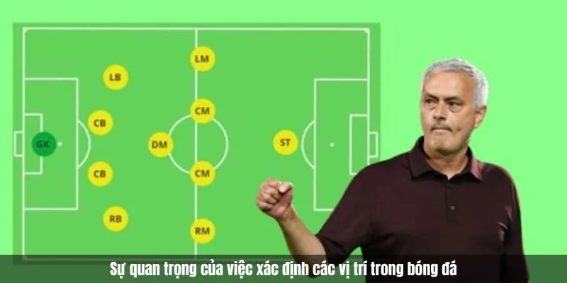 Vị Trí Các Cầu Thủ Trong Bóng Đá: Vai Trò Và Các Sơ Đồ Chi Tiết