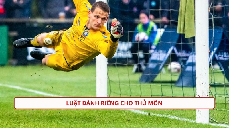 gk-trong-bong-da-la-gi.jpg Các quy định mới về luật thủ môn